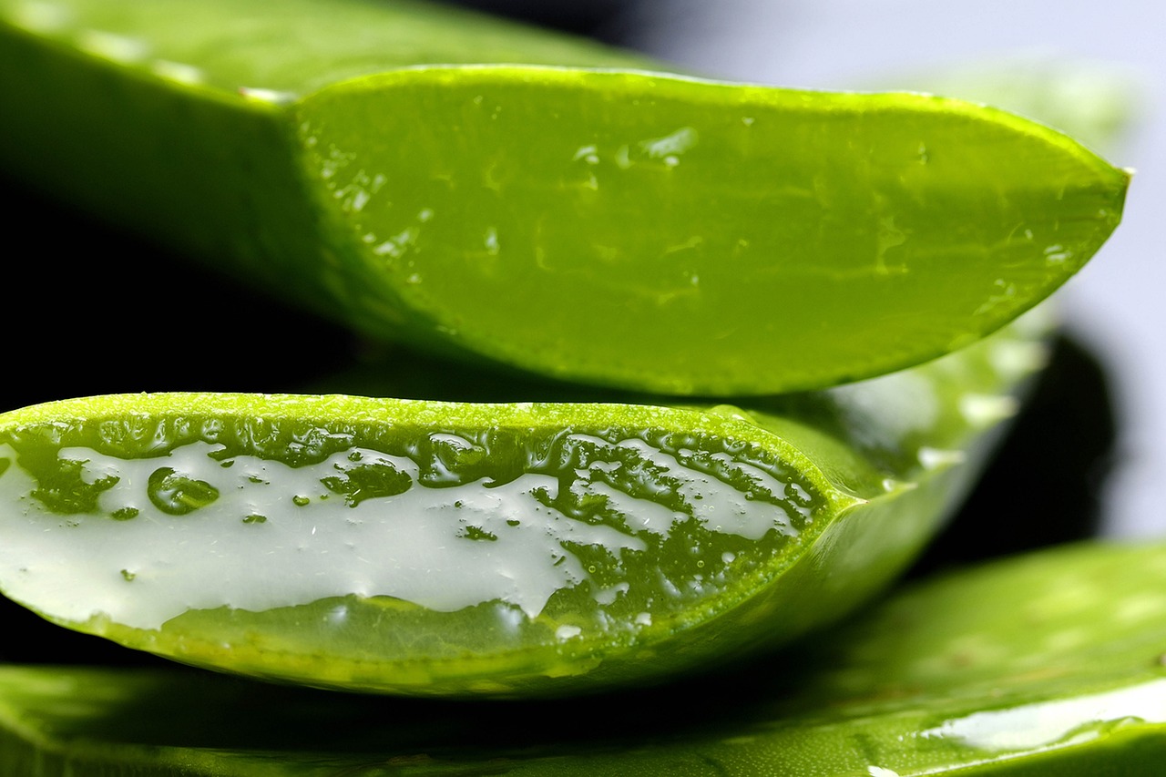Zenzero e Aloe Vera: come questi ingredienti possono trasformare la tua digestione